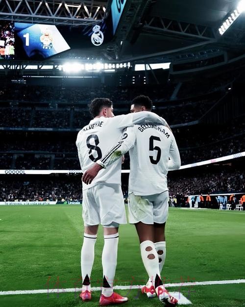 马卡：阿扎尔、巴尔韦德、罗德里戈接近复出